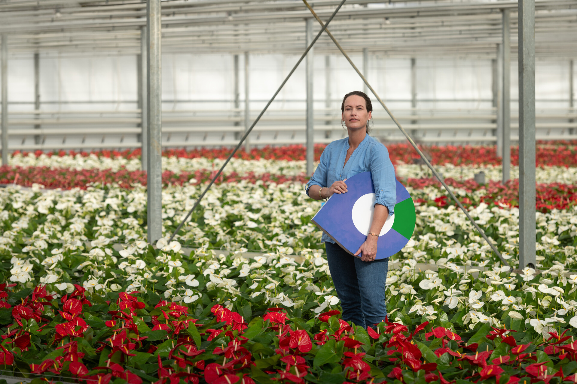Afbeelding van een bloemkweker in een kas met het logo van werkcentrum in de handen